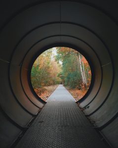 transition - ADR Coaching
